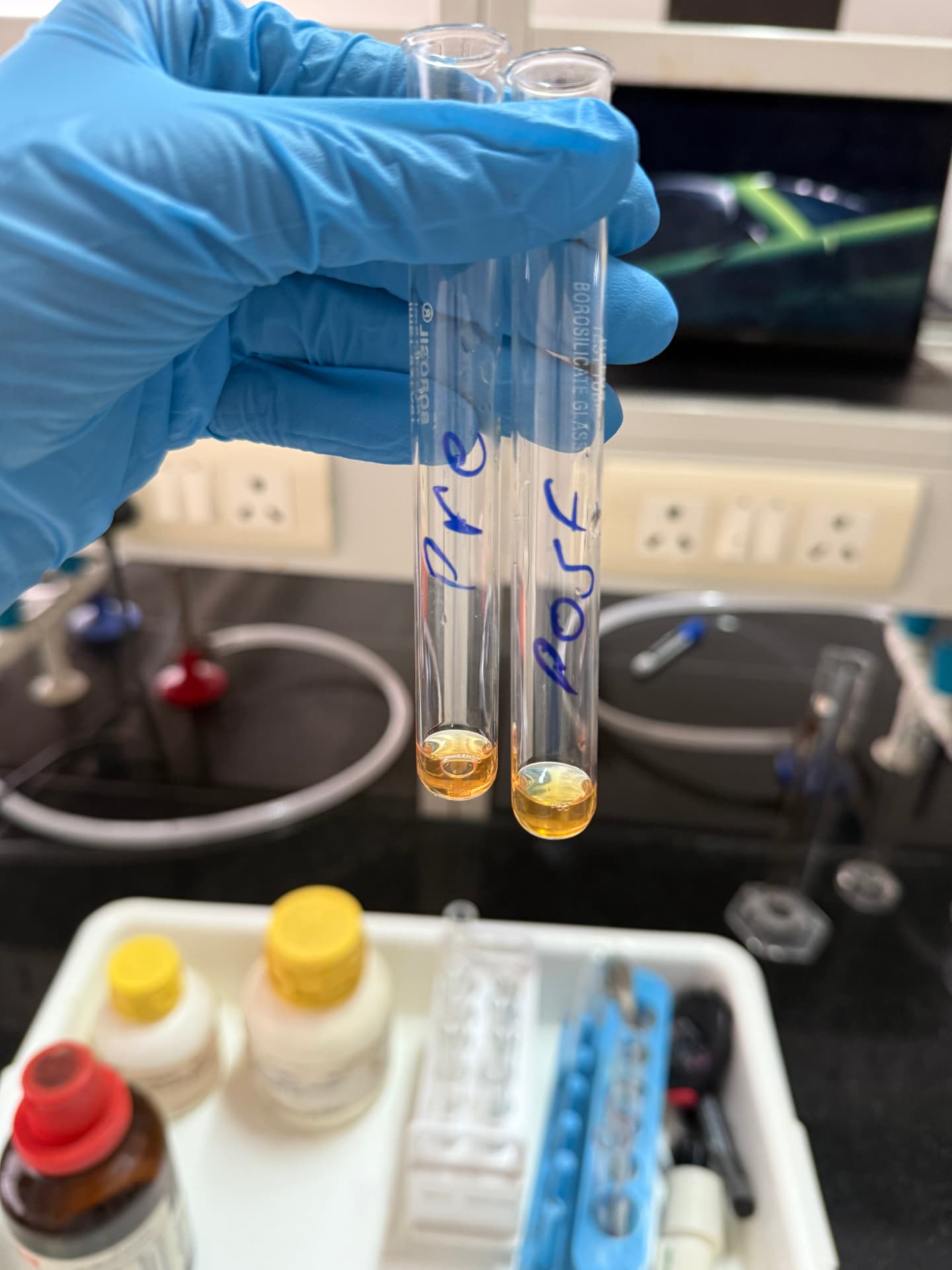 Gloved hand holding labelled pre- and post-supplementation test tubes