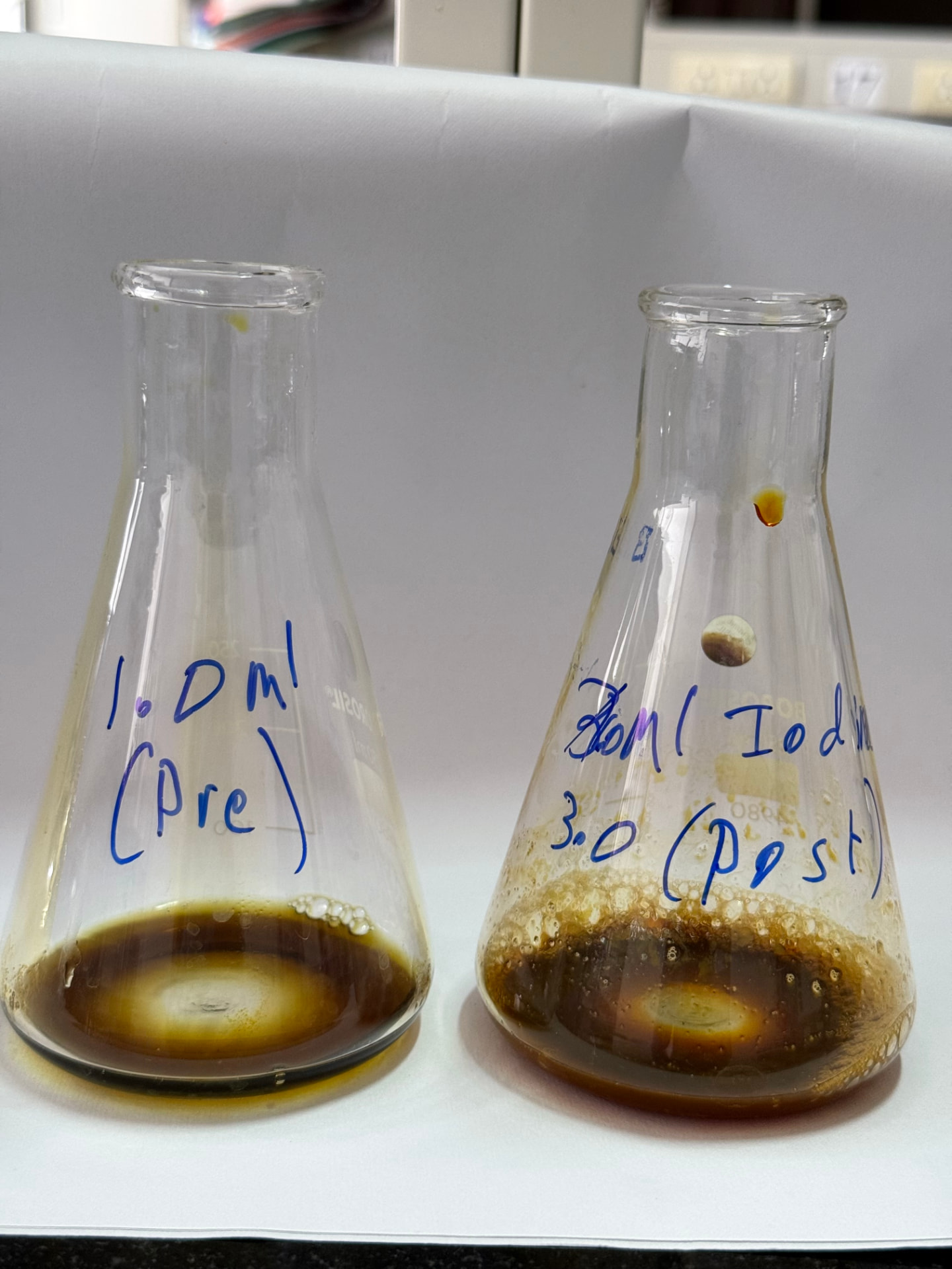 Pre- and post-supplementation plasma samples in labelled conical flasks
