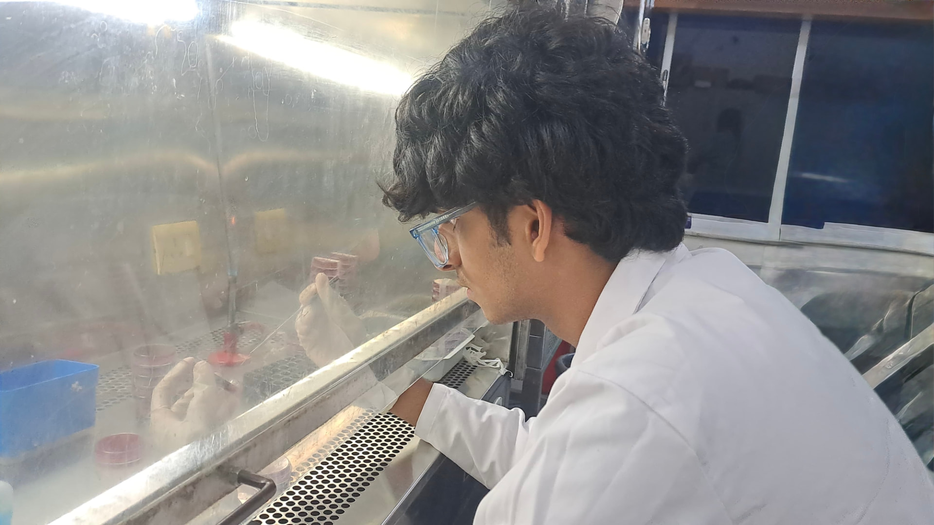 Raksheet Gummakonda working at a laminar flow hood during supervised microbiology research